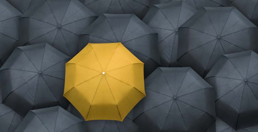 Why Is the Government Reforming Umbrella Companies? 